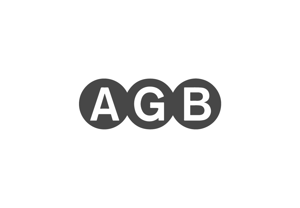 Asset 13
